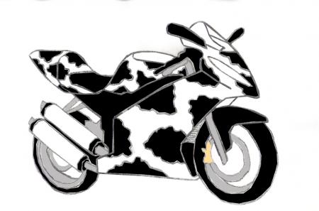 Suzuki RGSX Speed Cow