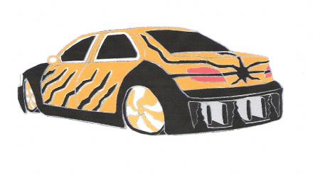 Peugeot 406 Tiger Meet