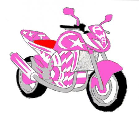Kawazaki Z1000 Awasie